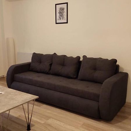 Youth Central Apartment Târgu-Mureş 外观 照片