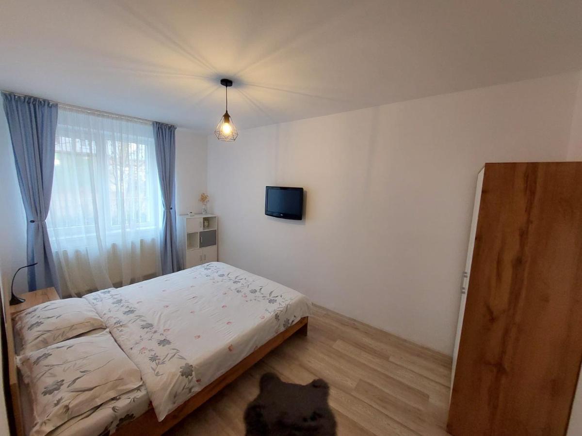Youth Central Apartment Târgu-Mureş 外观 照片