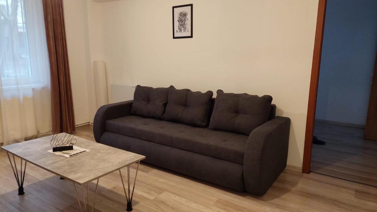 Youth Central Apartment Târgu-Mureş 外观 照片