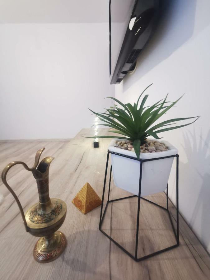 Youth Central Apartment Târgu-Mureş 外观 照片