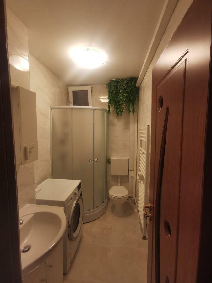 Youth Central Apartment Târgu-Mureş 外观 照片